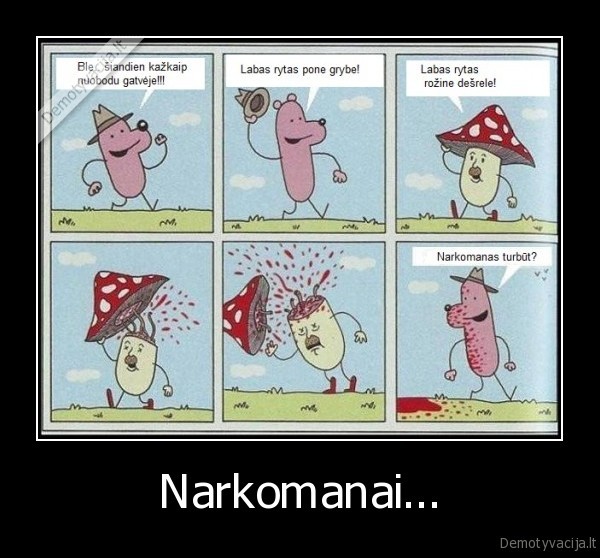narkomanai,desrele,grybas,musmere,grybas, su, kepure,rauna, stoga