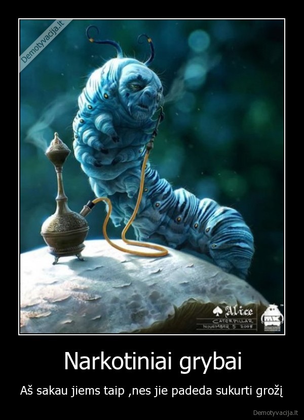 Narkotiniai grybai