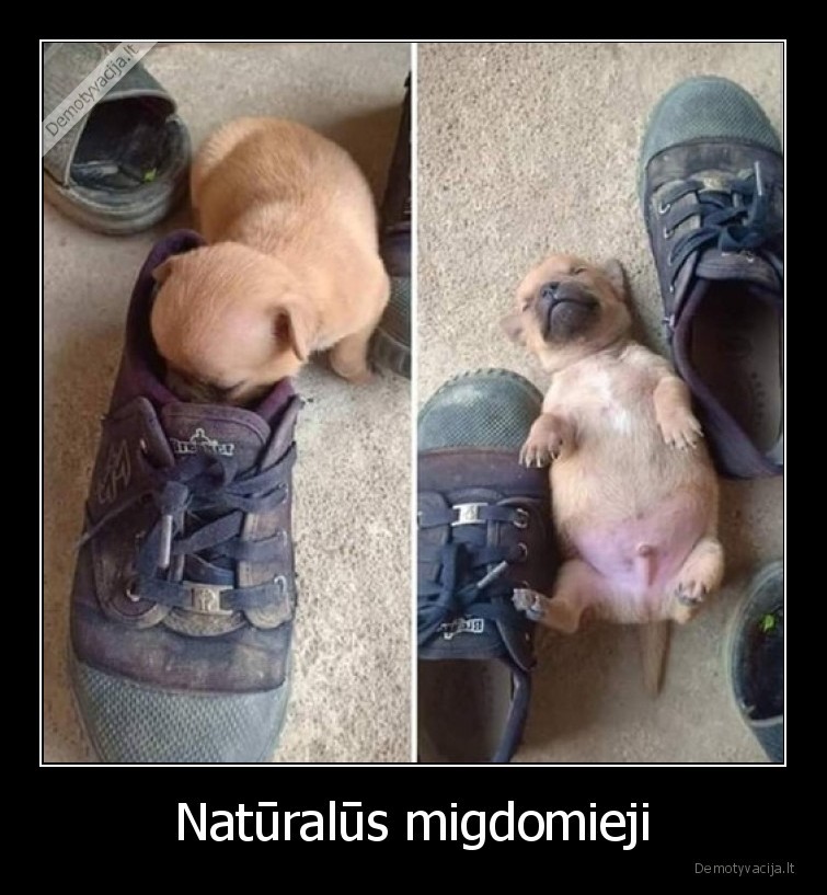 miegas,suo,smirda