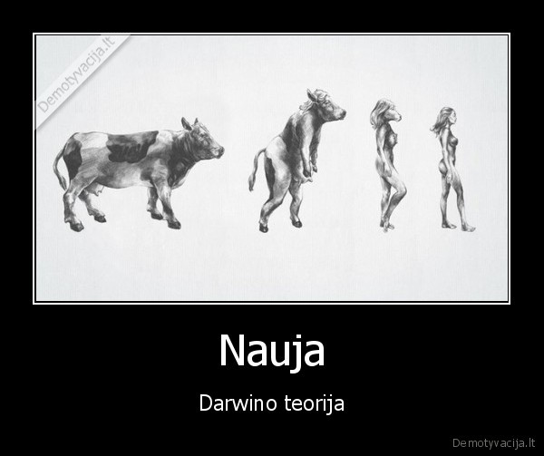 Nauja
