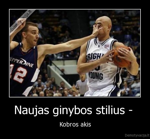 Naujas ginybos stilius - 