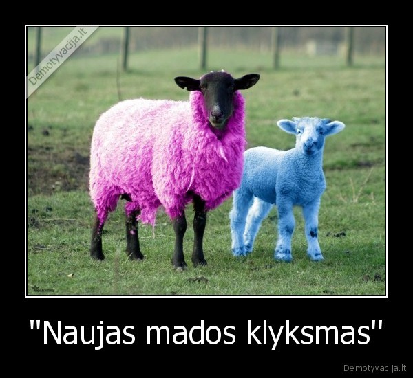 ''Naujas mados klyksmas''