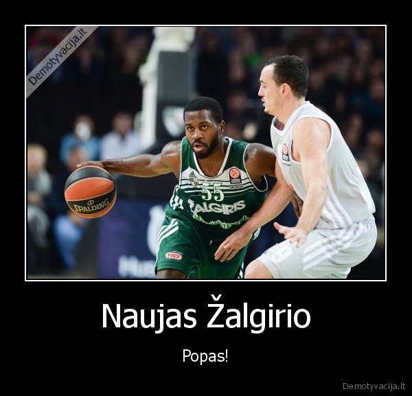 dentmon,popvic,kauno, zalgiris