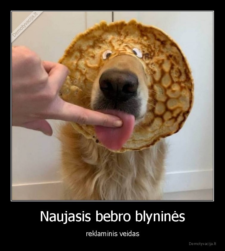 bebro,blynine,suo,blynas