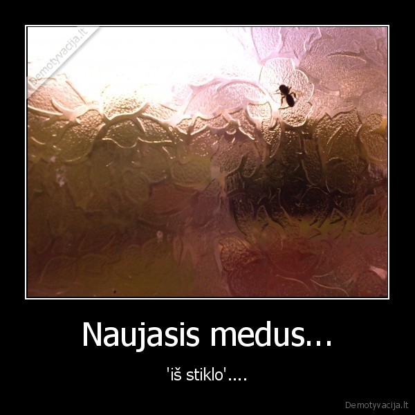 Naujasis medus...