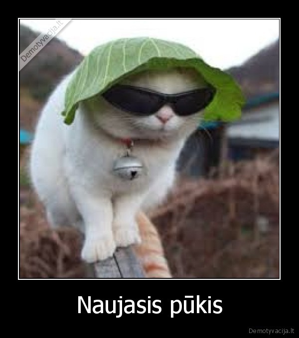 Naujasis pūkis