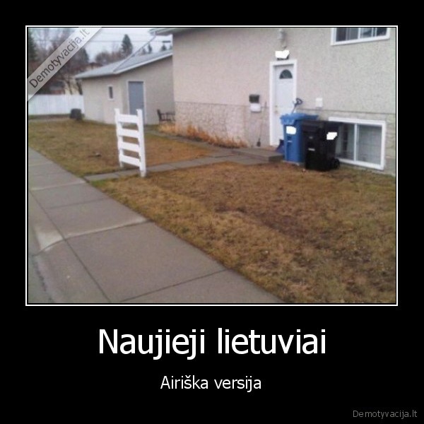 airija, lietuva, emigrantai