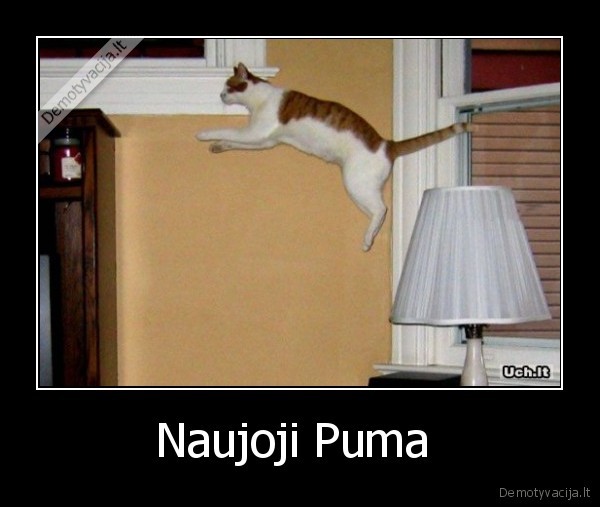 Naujoji Puma 