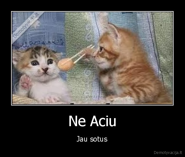 Ne Aciu