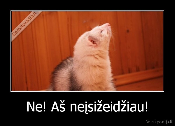 isizeisti,moterys