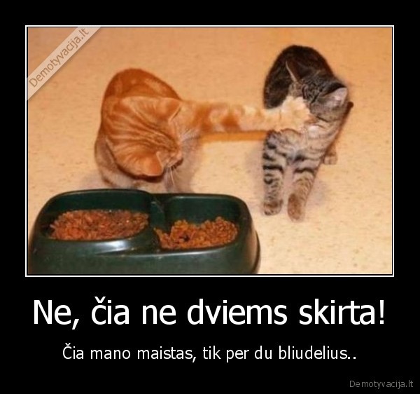 Ne, čia ne dviems skirta!