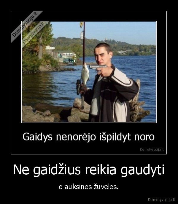 auksine,zuvele,gaidys,gaudyti