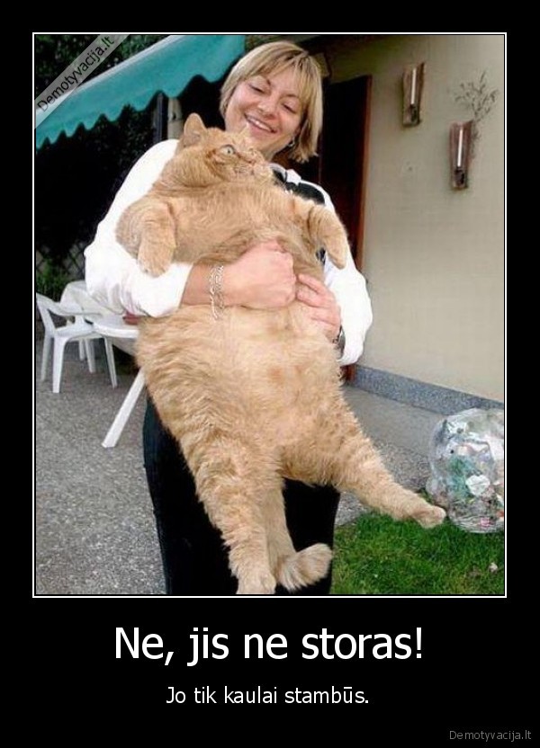 Ne, jis ne storas!