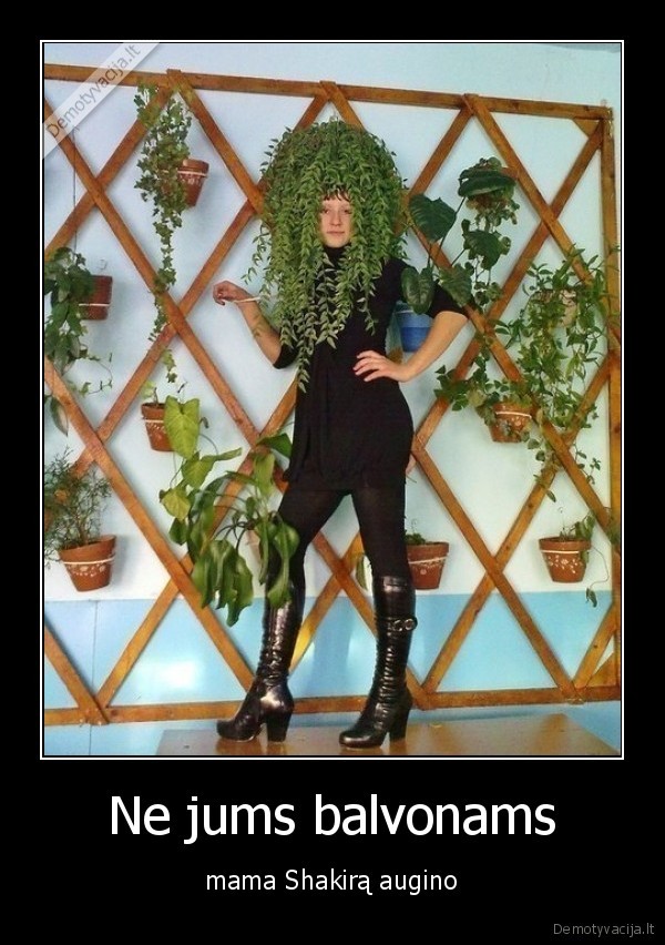 plaukai,mergina,grazuole