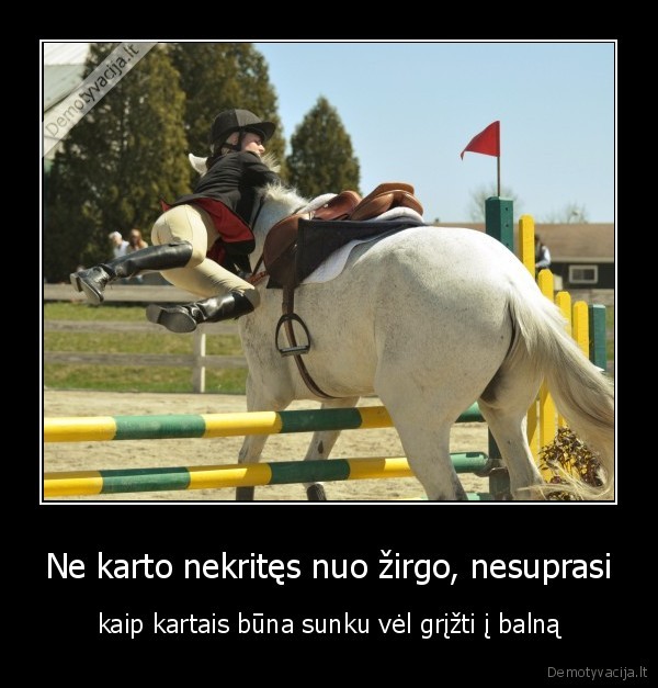 zirgas,jojimas