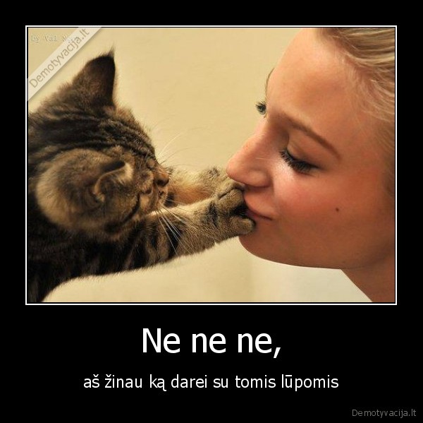 Ne ne ne,