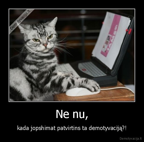 katinas, prie, pc