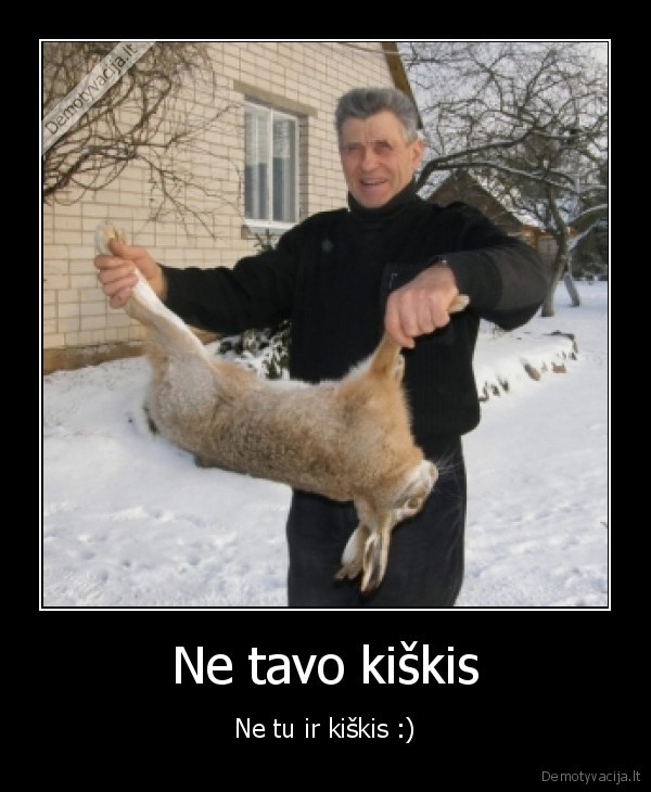 Ne tavo kiškis