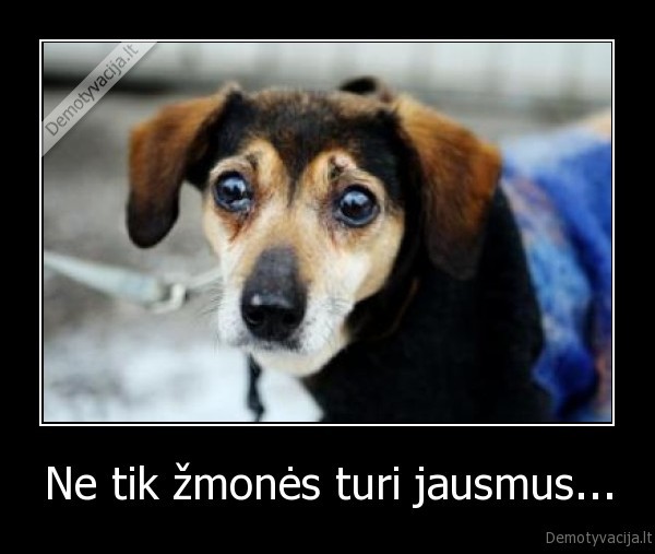 Ne tik žmonės turi jausmus...