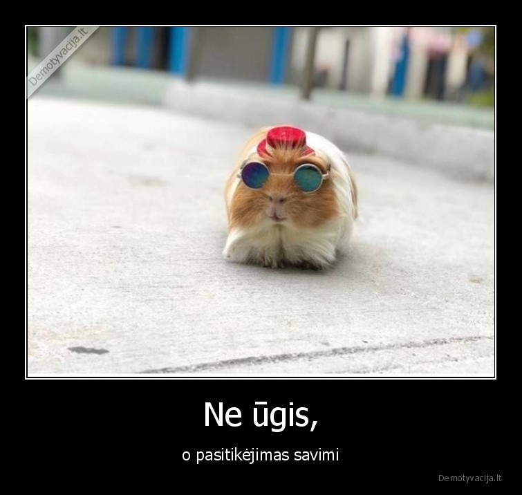 ugis,smugis,mazas,kietas