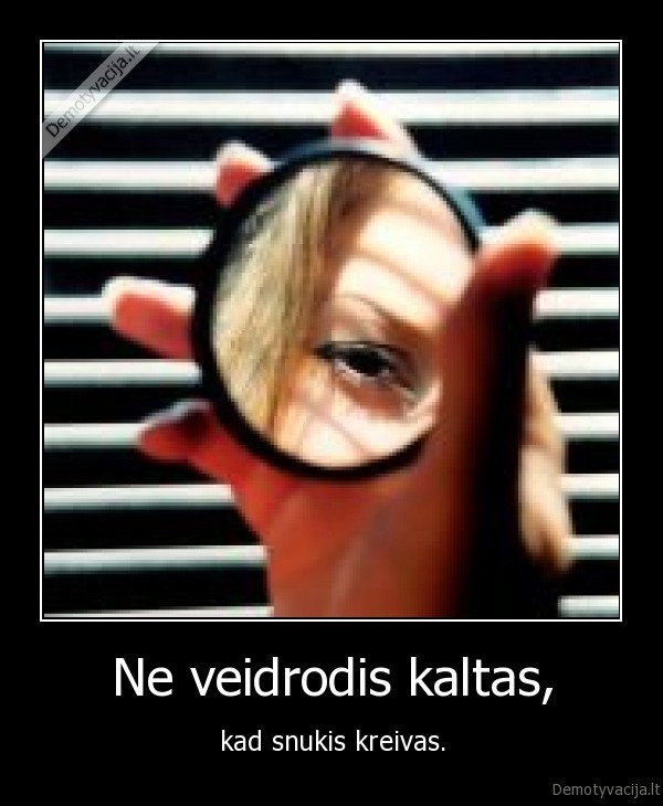 veidrodis,snukis