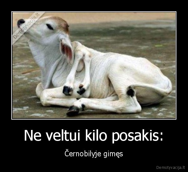 cernobilis,posakis