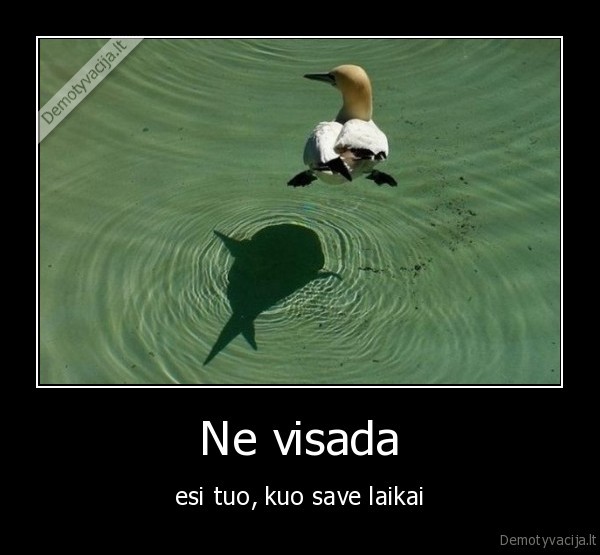Ne visada