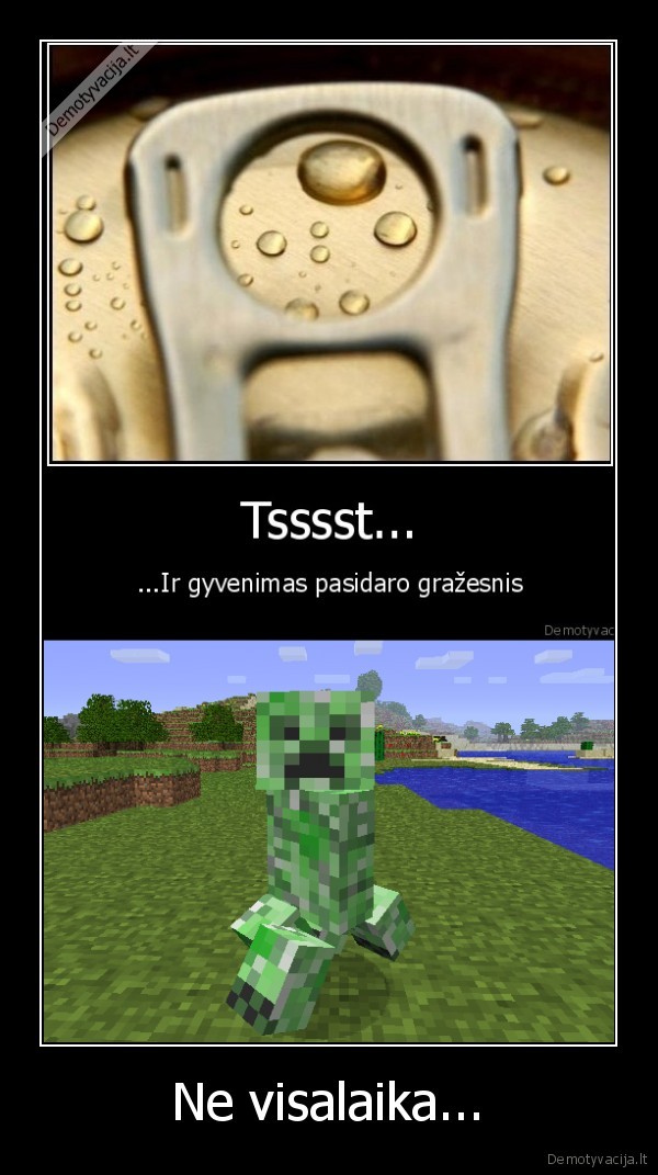 Ne visalaika...