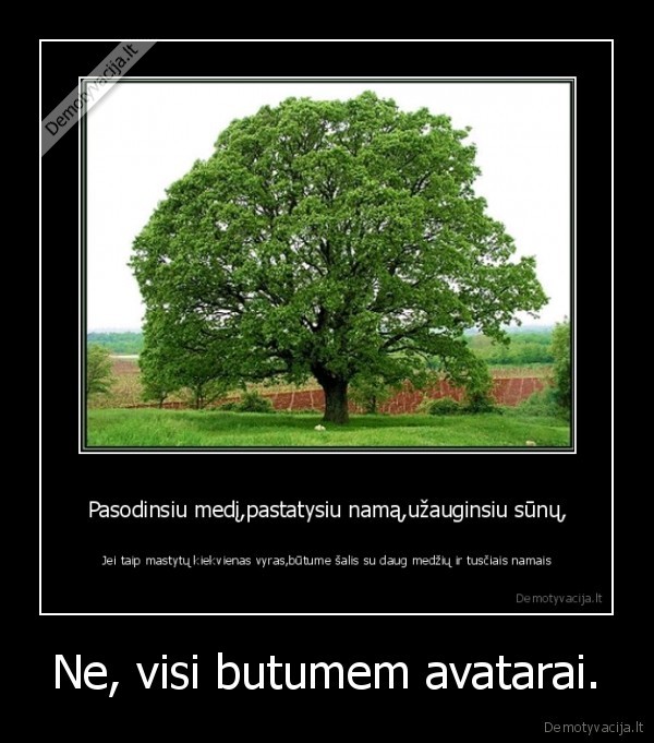 avataras,medis