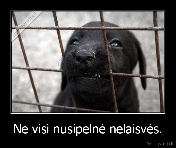 nelaisve
