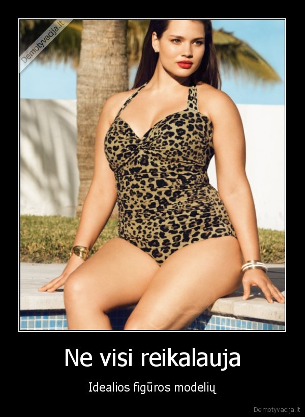 modelis