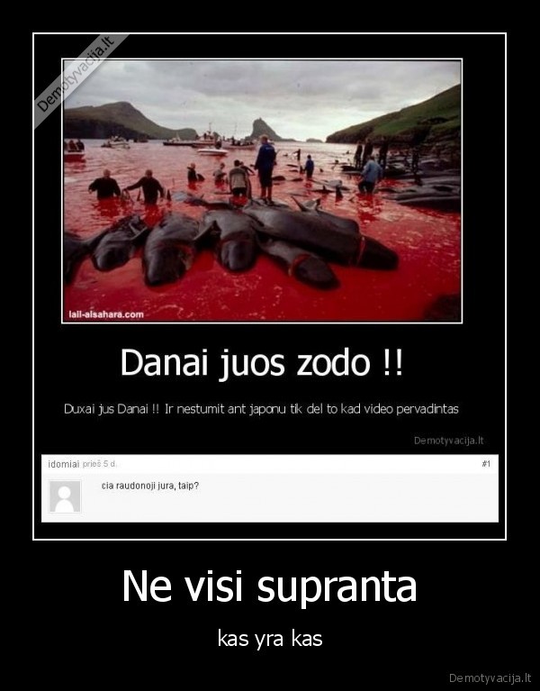 Ne visi supranta