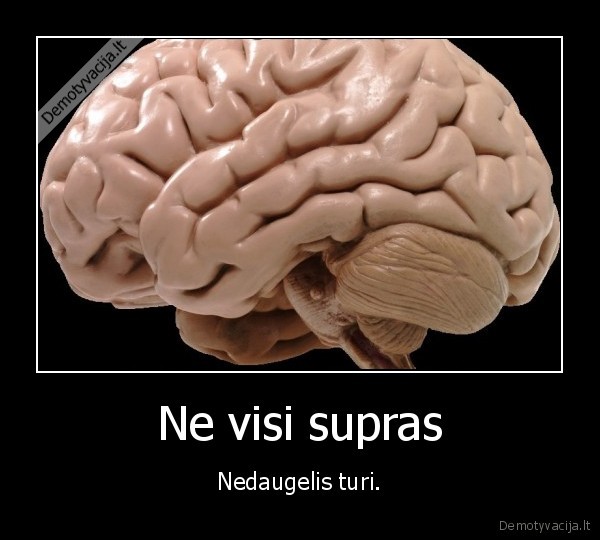 smegenys,supras,besmegeniai,tureti