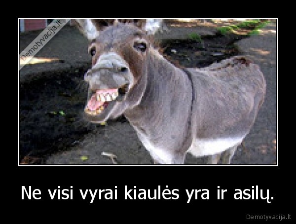 asilai