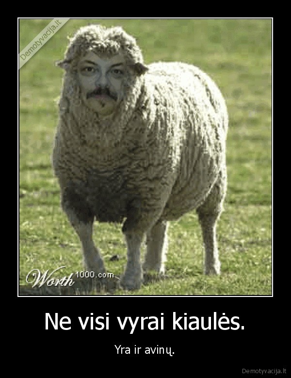 Ne visi vyrai kiaulės.