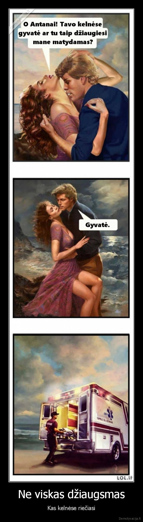 juodas, humoras,ikando, gyvate