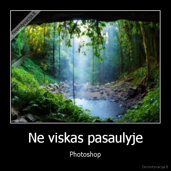 uzsiciaupkit, durni, komentatoriai