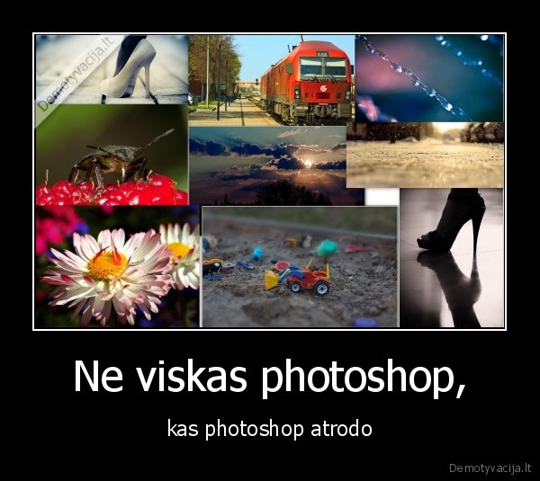 ne, ps, cia