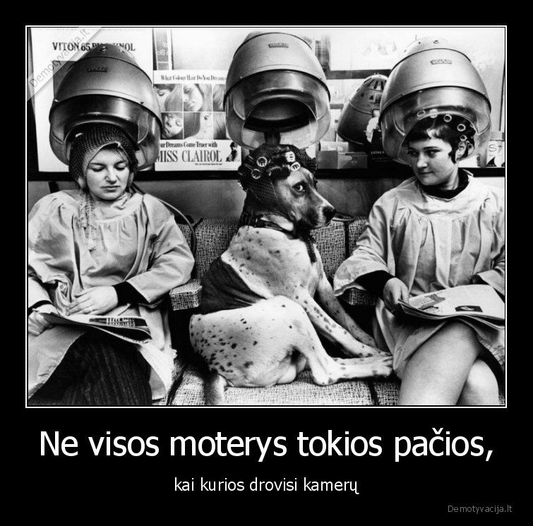 drovisi,suo,moteris