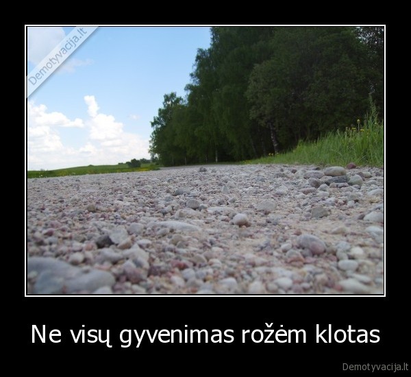 rozes,akmenys
