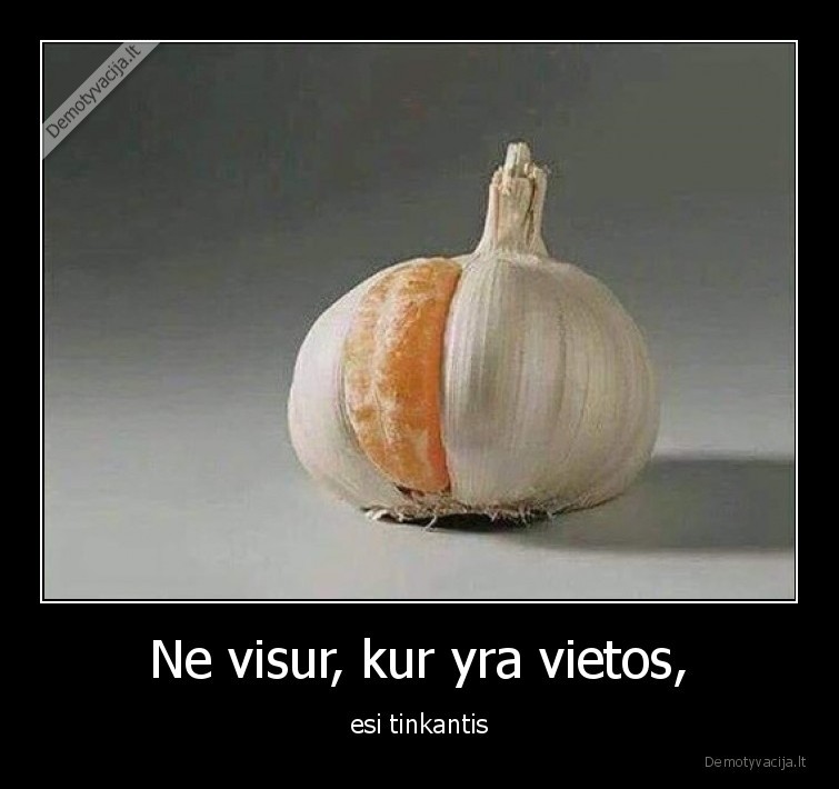 tikti,cesnakas,mandarinas,kolektyvas