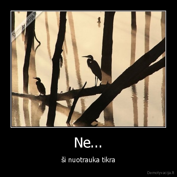 Ne...
