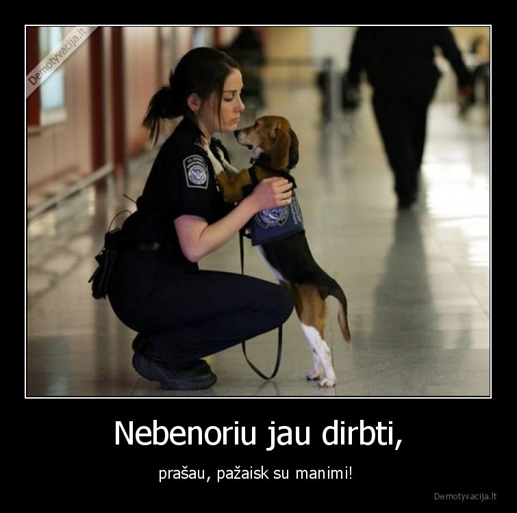 policija,suo,suniukas,prasau