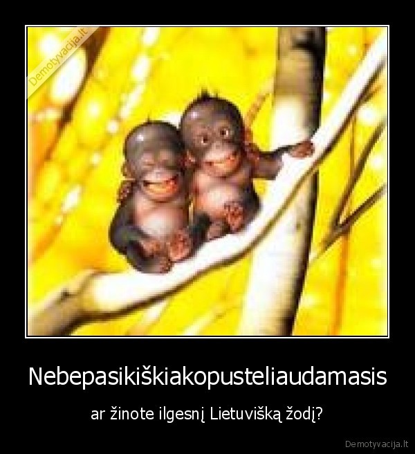 ilgas,zodis