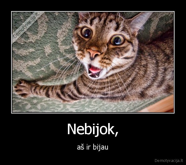Nebijok,