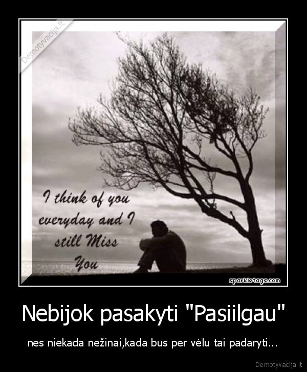 Nebijok pasakyti &quot;Pasiilgau&quot;