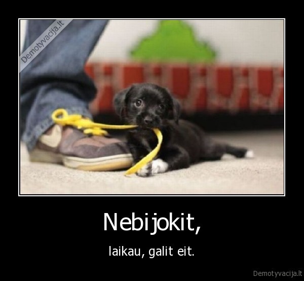 nebijokit,laikau,suniukas,eiti