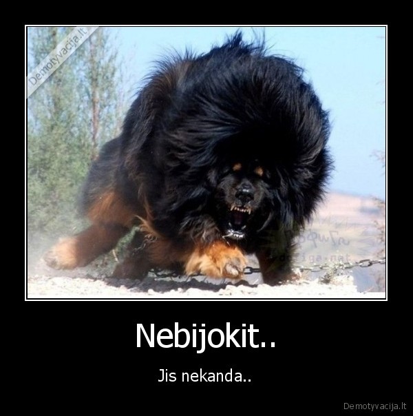 Nebijokit..