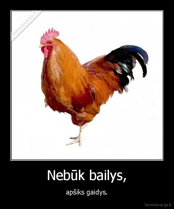 Nebūk bailys,