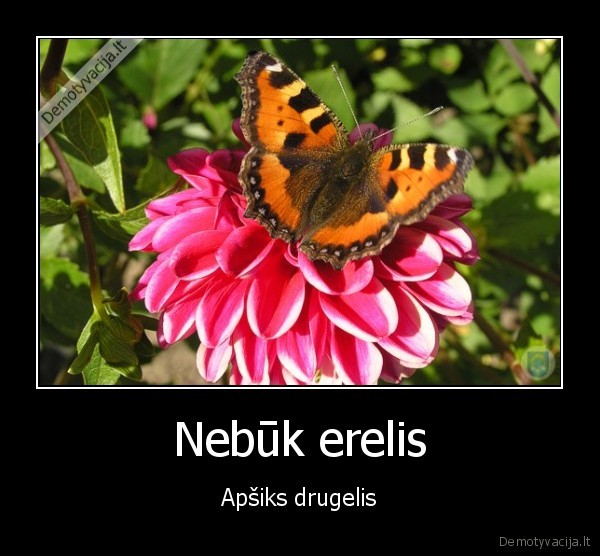 Nebūk erelis